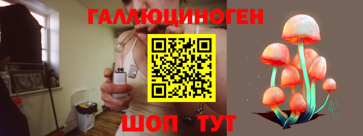 Реутов  Псилоцибиновые грибы GOLDEN TEACHER  Галлюциногенные грибы ЛСД  Вход с VPN 